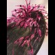 Gorgeous & Glorious Black Large Saucer Headpiece with Hot Pink Feathers