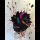 Gorgeous & Glorious 'Feather Firework' in Black with Neon Brights