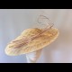 Gorgeous & Glorious Ivory Peacock Headpiece with curled quills